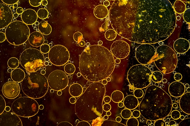 Oils and Grease in Waste Water Sample Image