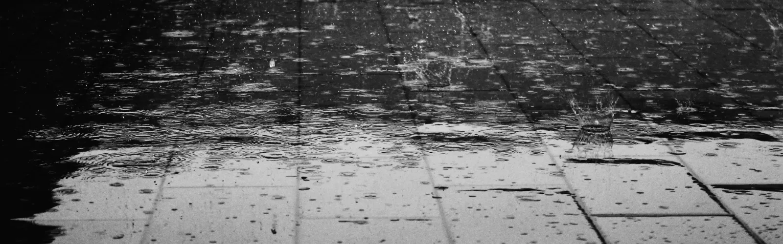 Rainwater System Testing