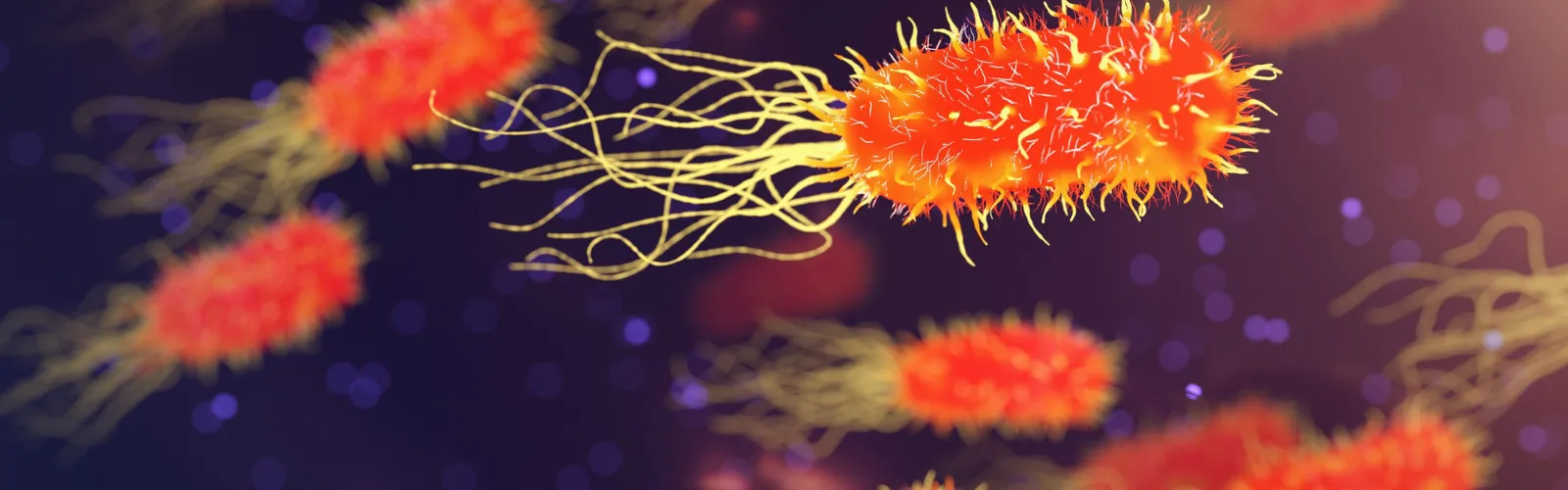 Bacteria in Water Testing (E. coli & Total Coliforms)