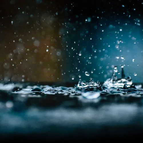 Protect Your Site, the Environment, and Your Legal Standing