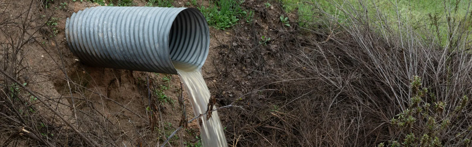 Wastewater Effluent Testing