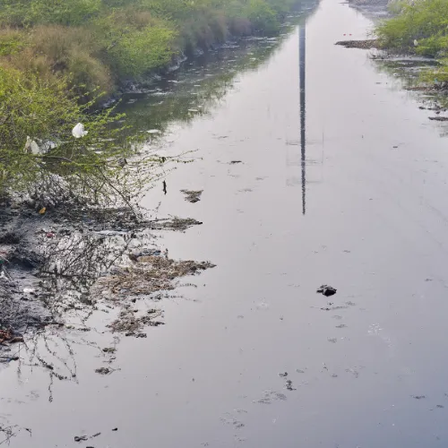 Monitor Combined Sewer Quality to Meet Municipal and Provincial Standards