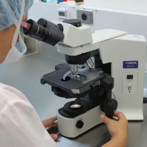 Certified Sampling and Lab Testing for Environmental Assurance